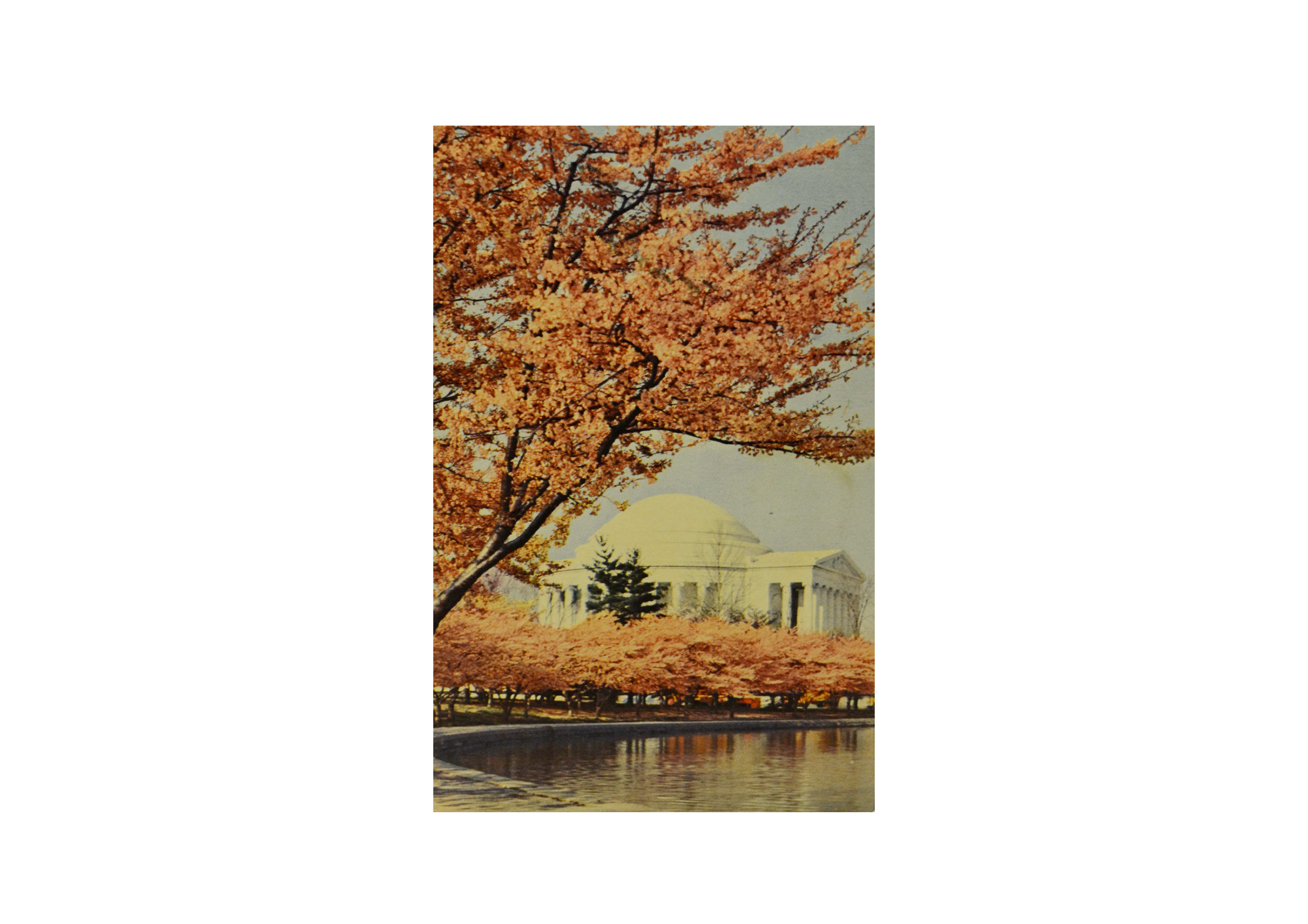 ไปรษณียบัตร ถึงคุณชฎา กฤษณามระ