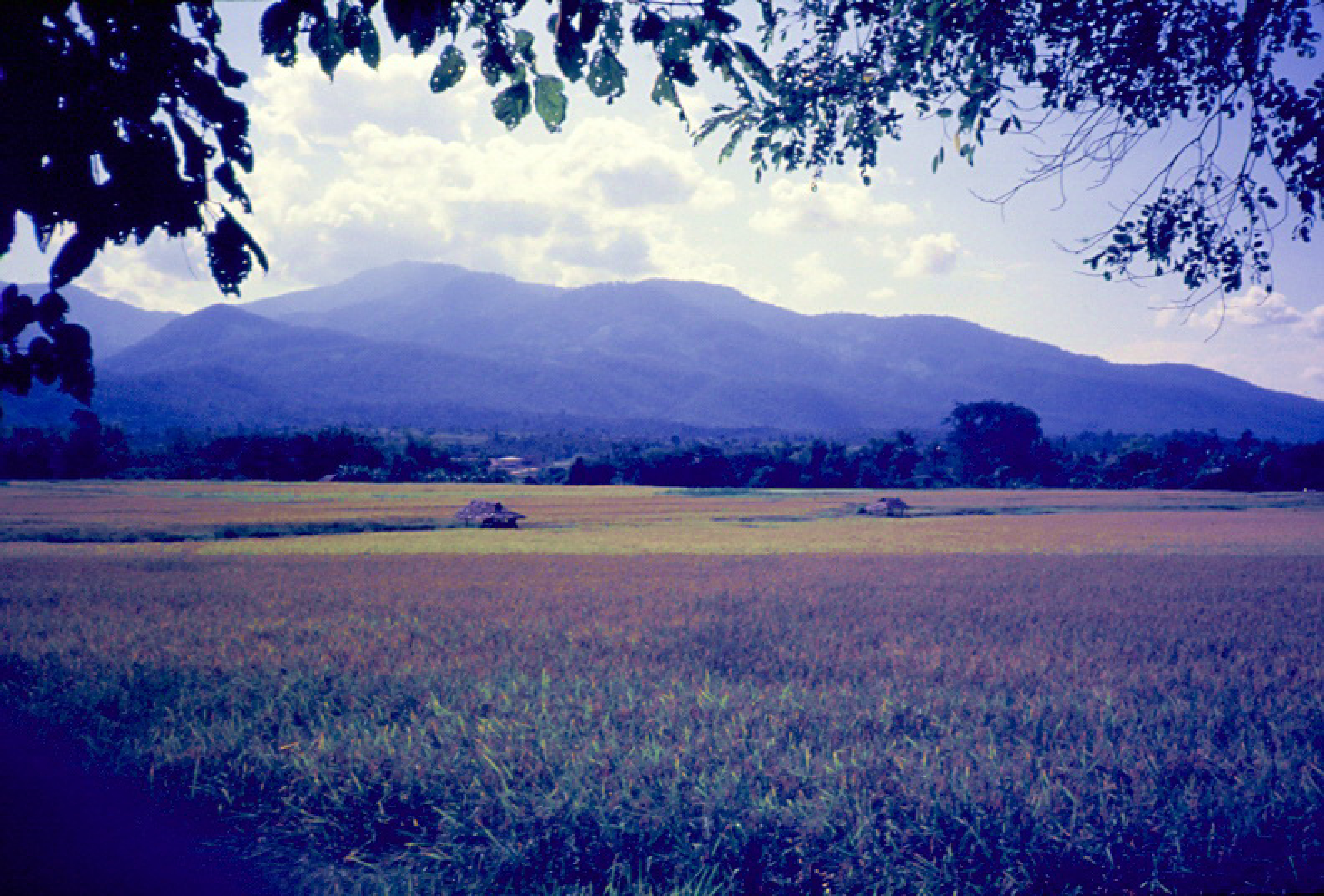 ฟิล์มถ่ายภาพ