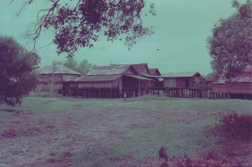 บ้านนาคู ปี 2524