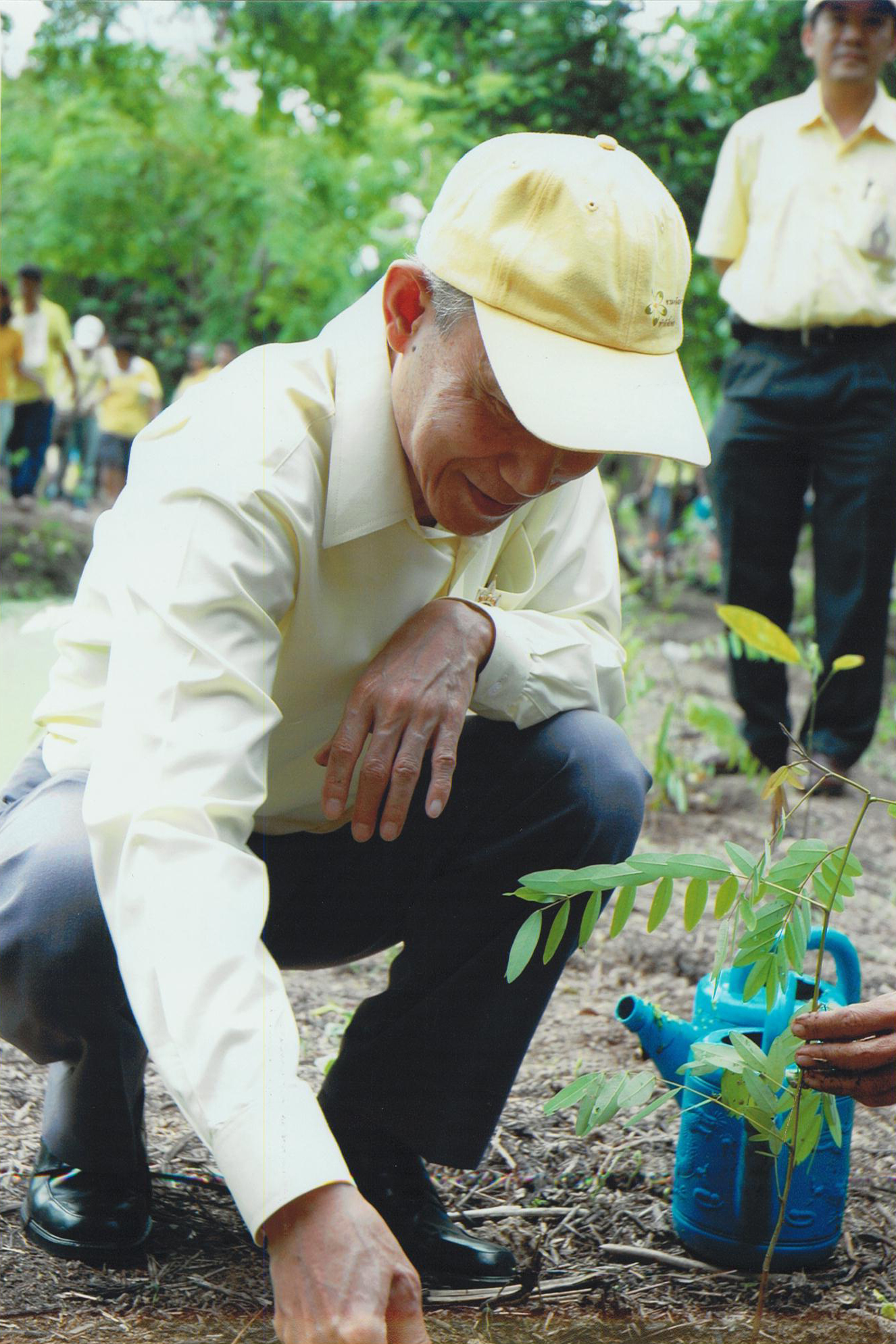 ปลูกต้นไม้