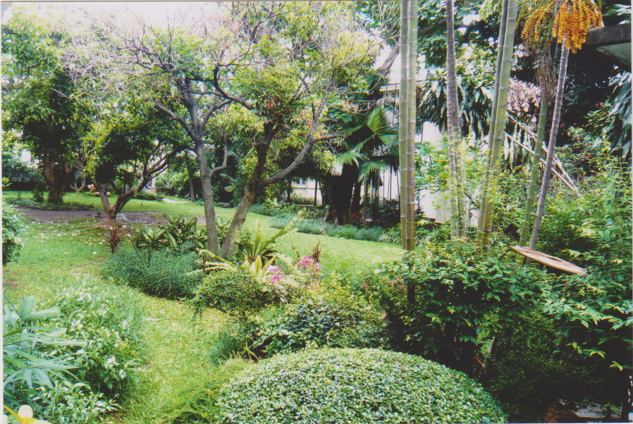 ตึกจงกลนี วัฒนวงศ์