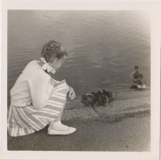 เมืองลัดโลว (Ludlow) ประเทศอังกฤษ