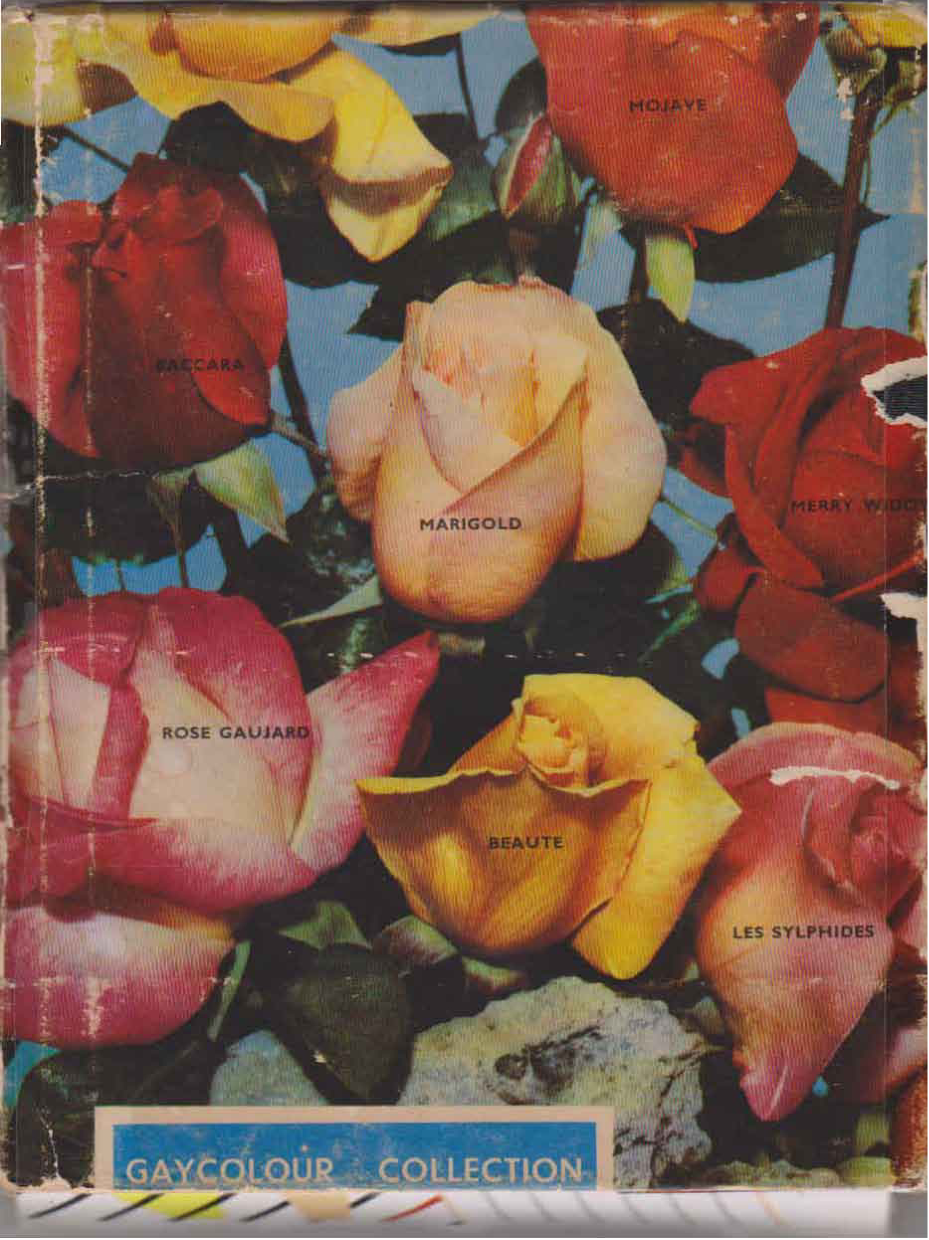 บันทึก เล่ม 1