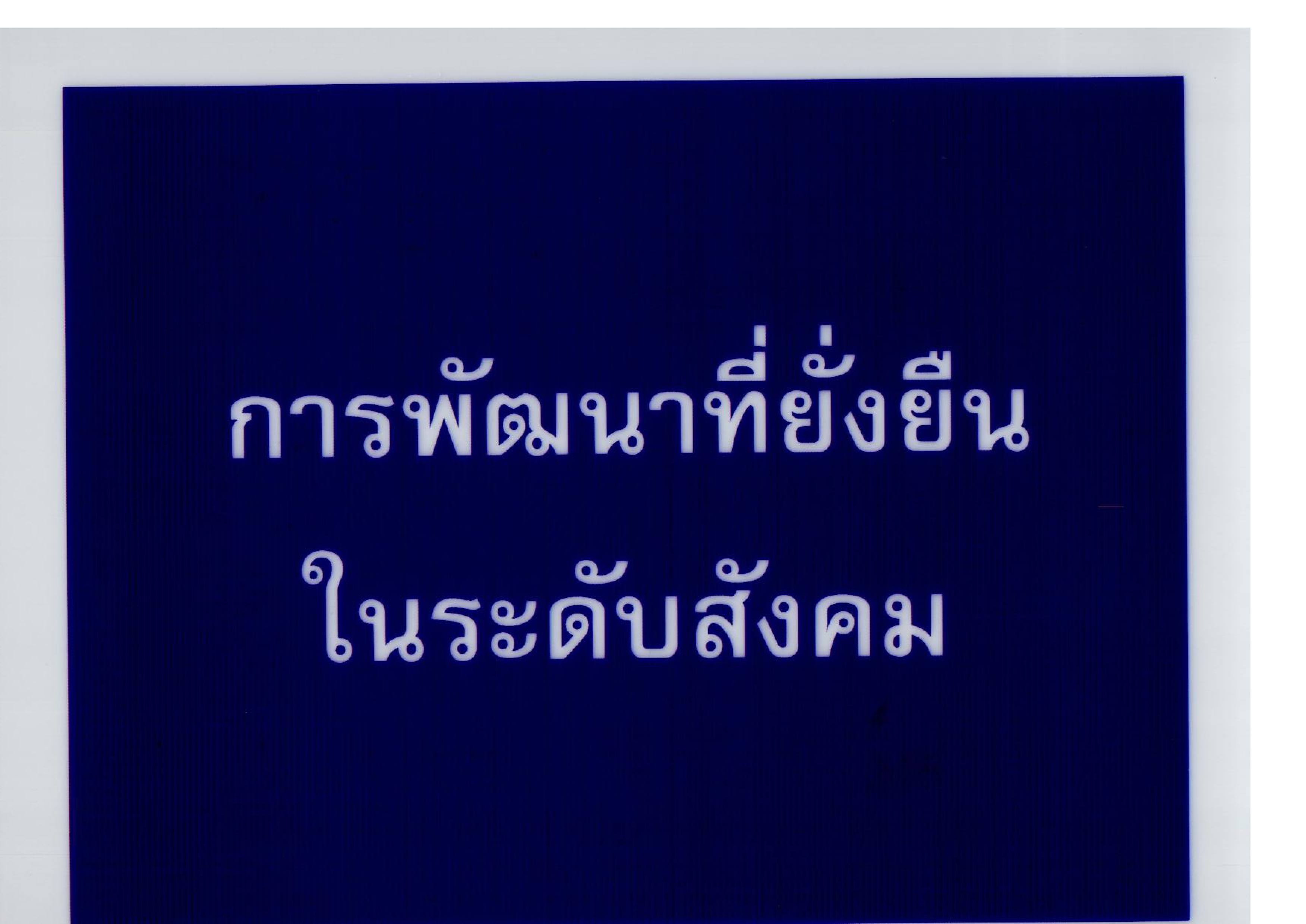 การพัฒนาที่ยั่งยืนในระดับสังคม