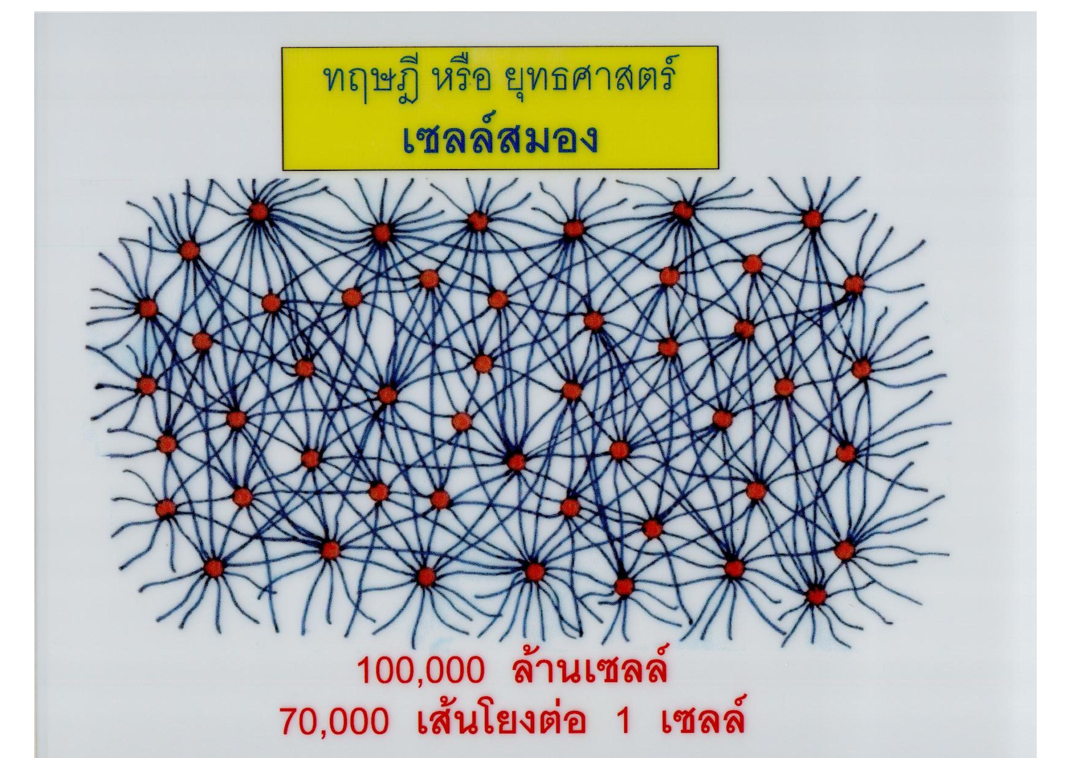 ทฤษฎี หรือ ยุทธศาสตร์ เซลล์สมอง