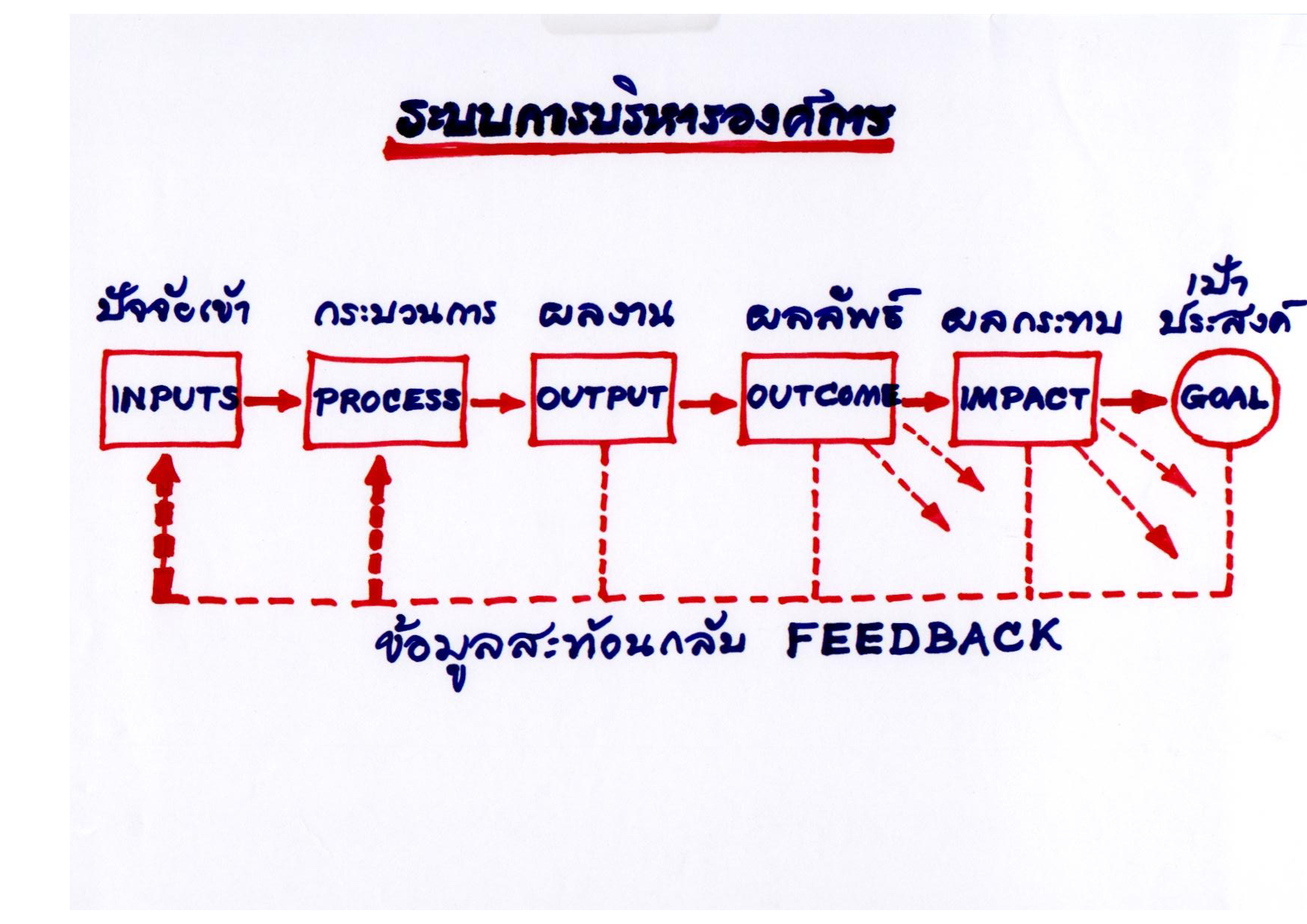 ระบบการบริหารองค์การ