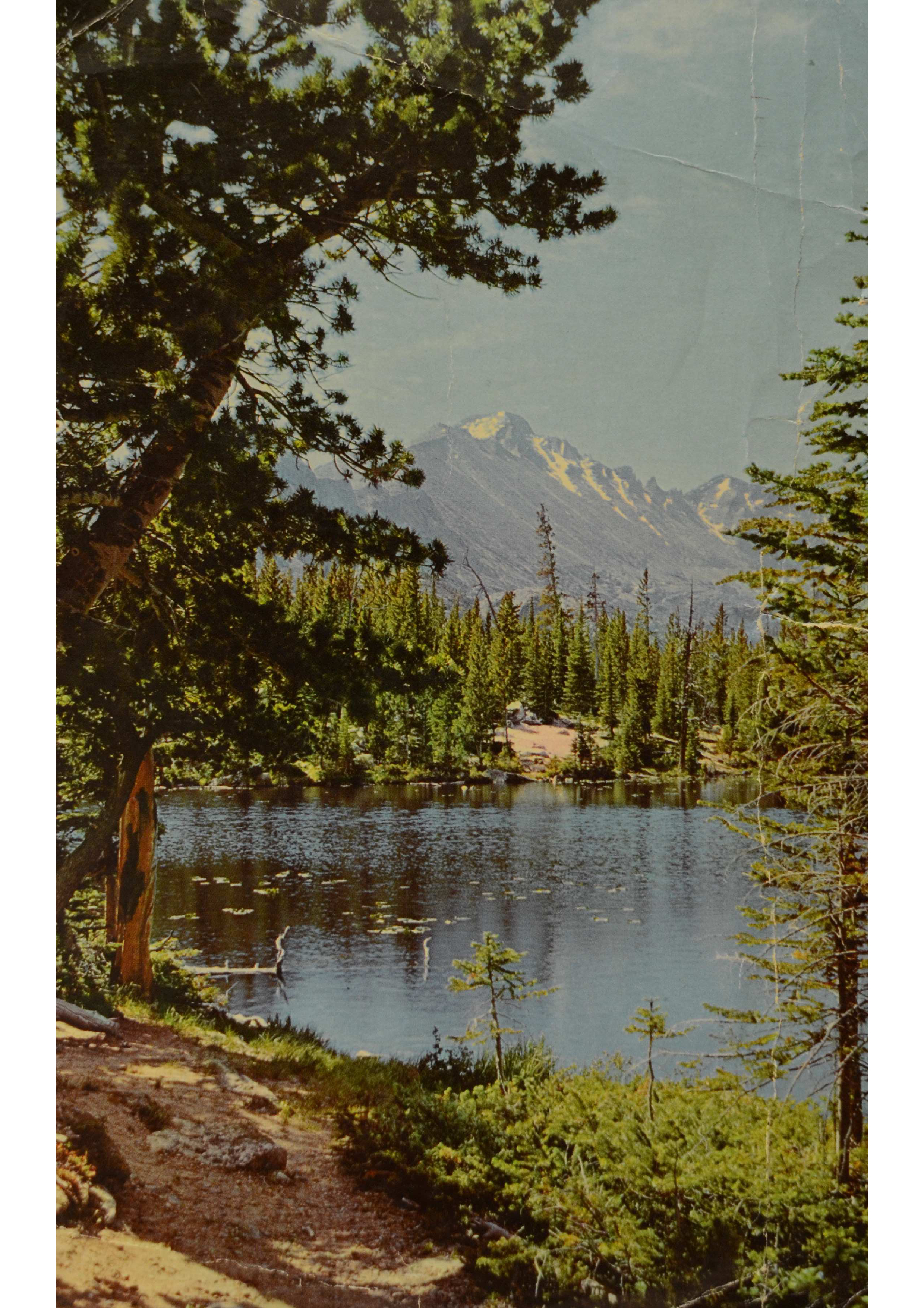 ไปรษณียบัตร ถึงคุณชฎา กฤษณามระ