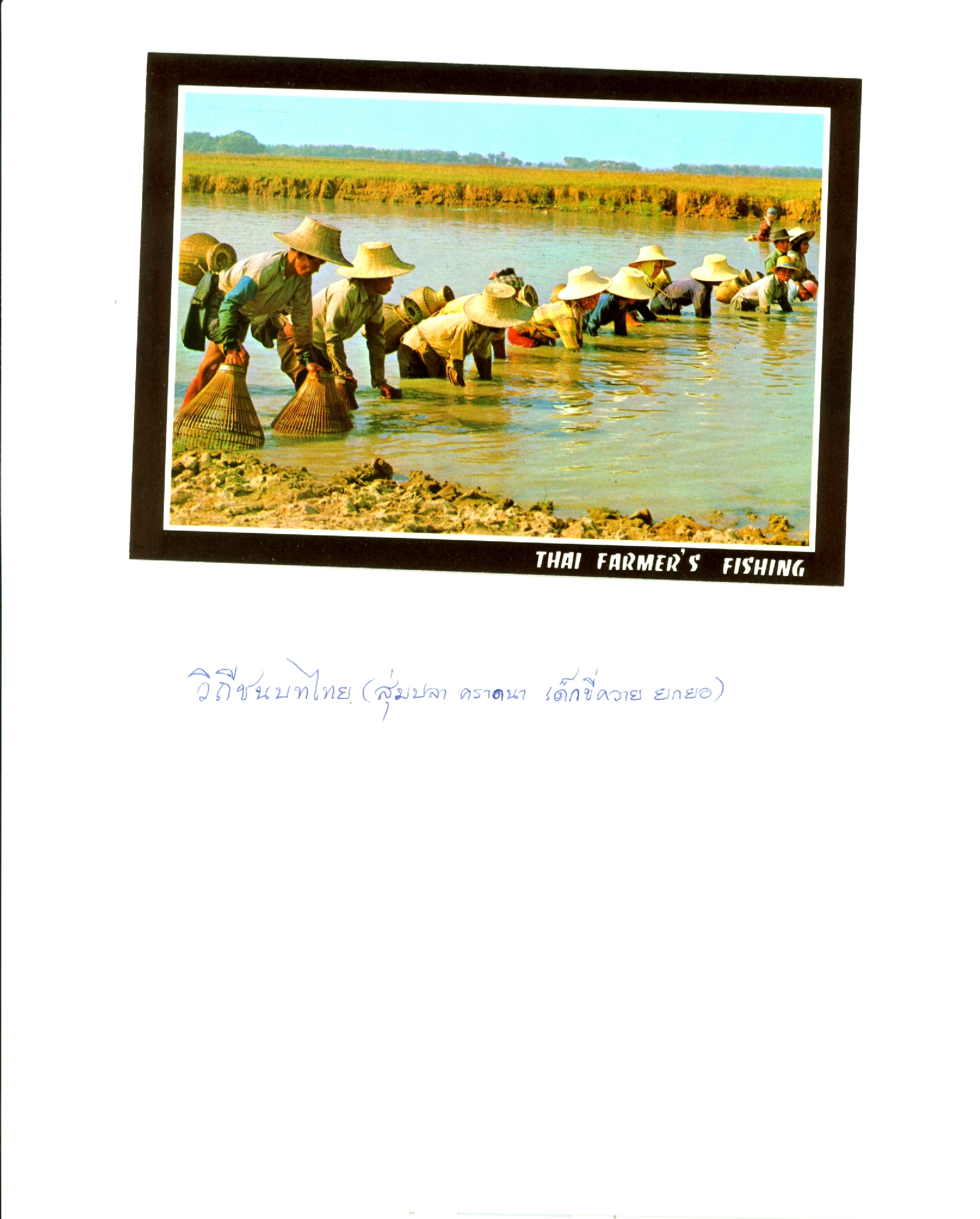 วิถีชนบท : สุ่มปลา