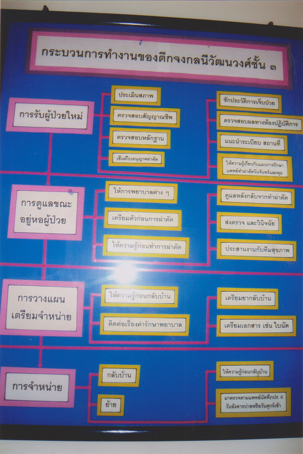บุคลากรโรงพยาบาลจุฬาลงกรณ์ (ผู้บริหาร แพทย์ พยาบาล และเจ้าหน้าที่)
