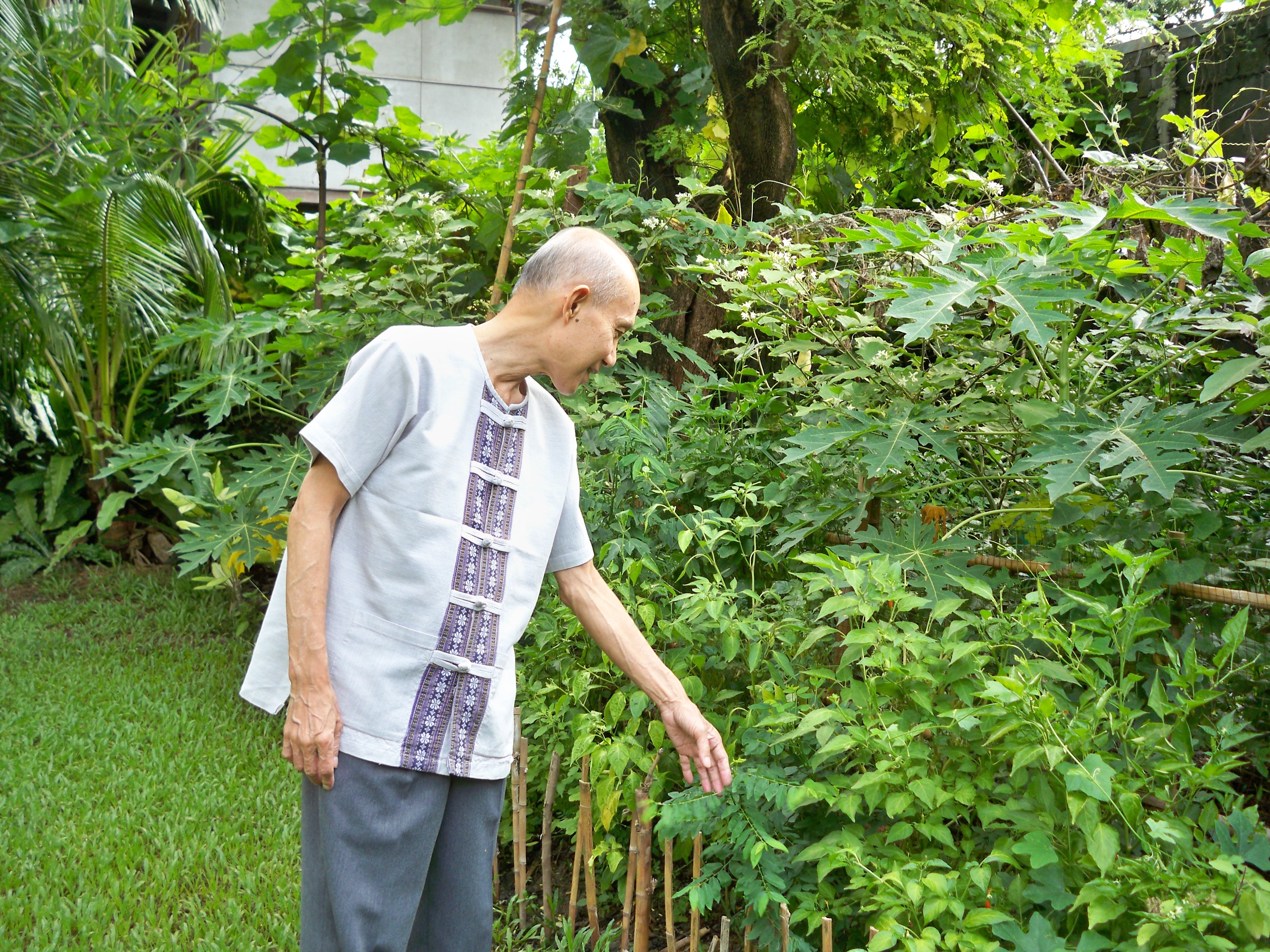 สวนผักบ้านอาจารย์ไพบูลย์