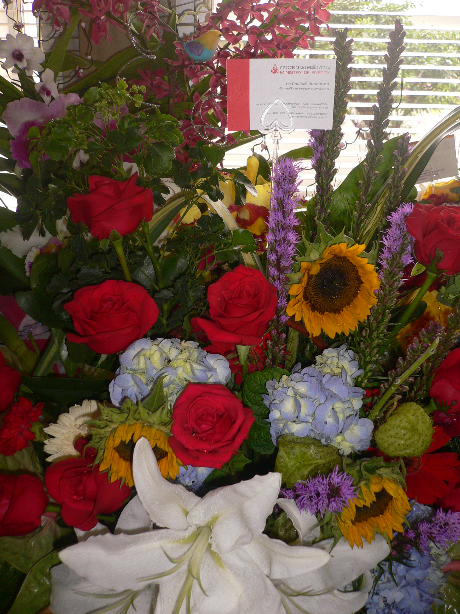 ดอกไม้เยี่ยมไข้ (2)