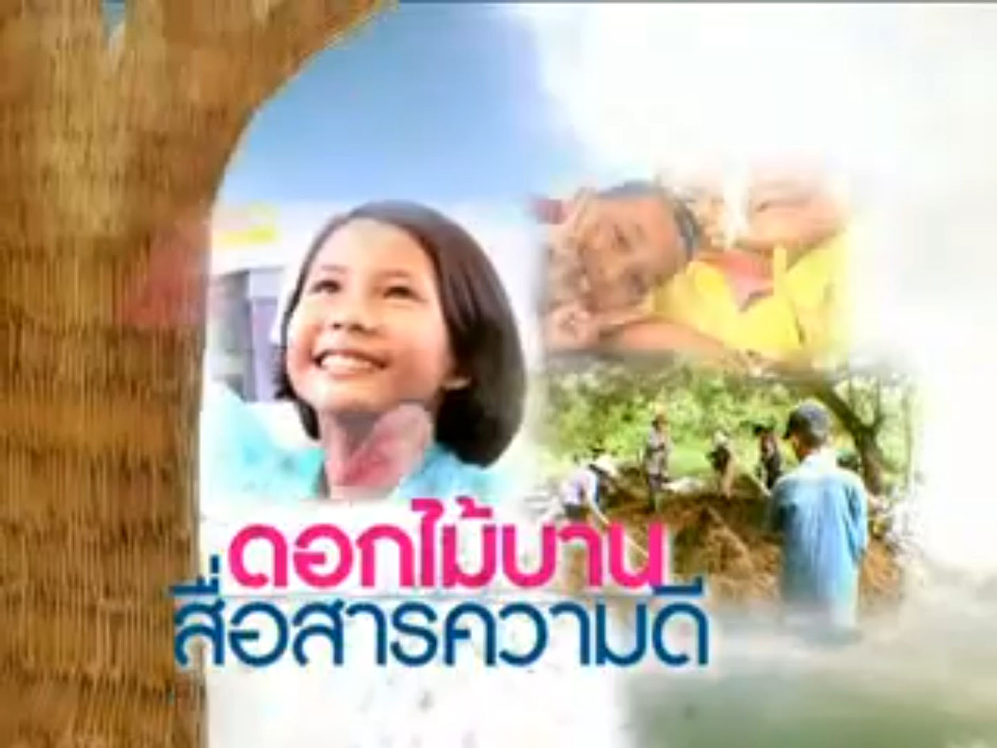 สารคดีสั้น ดอกไม้บาน สื่อสารความดี