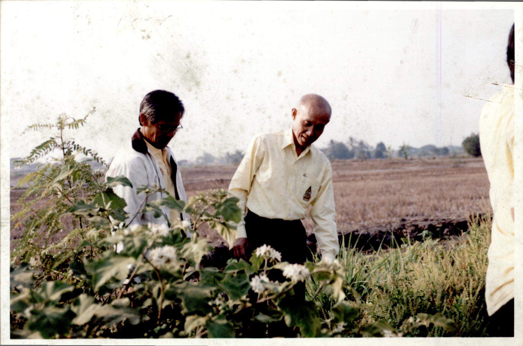 พิธีเปิดโครงการบ้านมั่นคงชนบท 