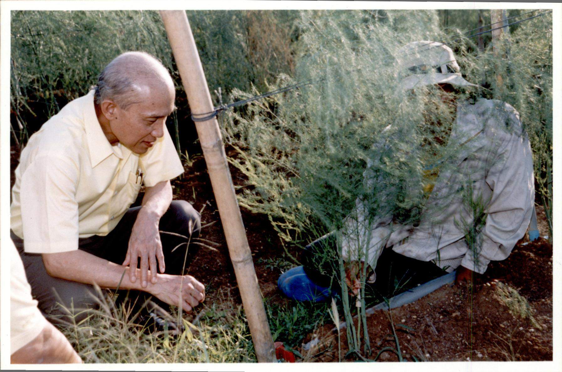 โครงการบ้านมั่นคงชนบท จังหวัดสระแก้ว