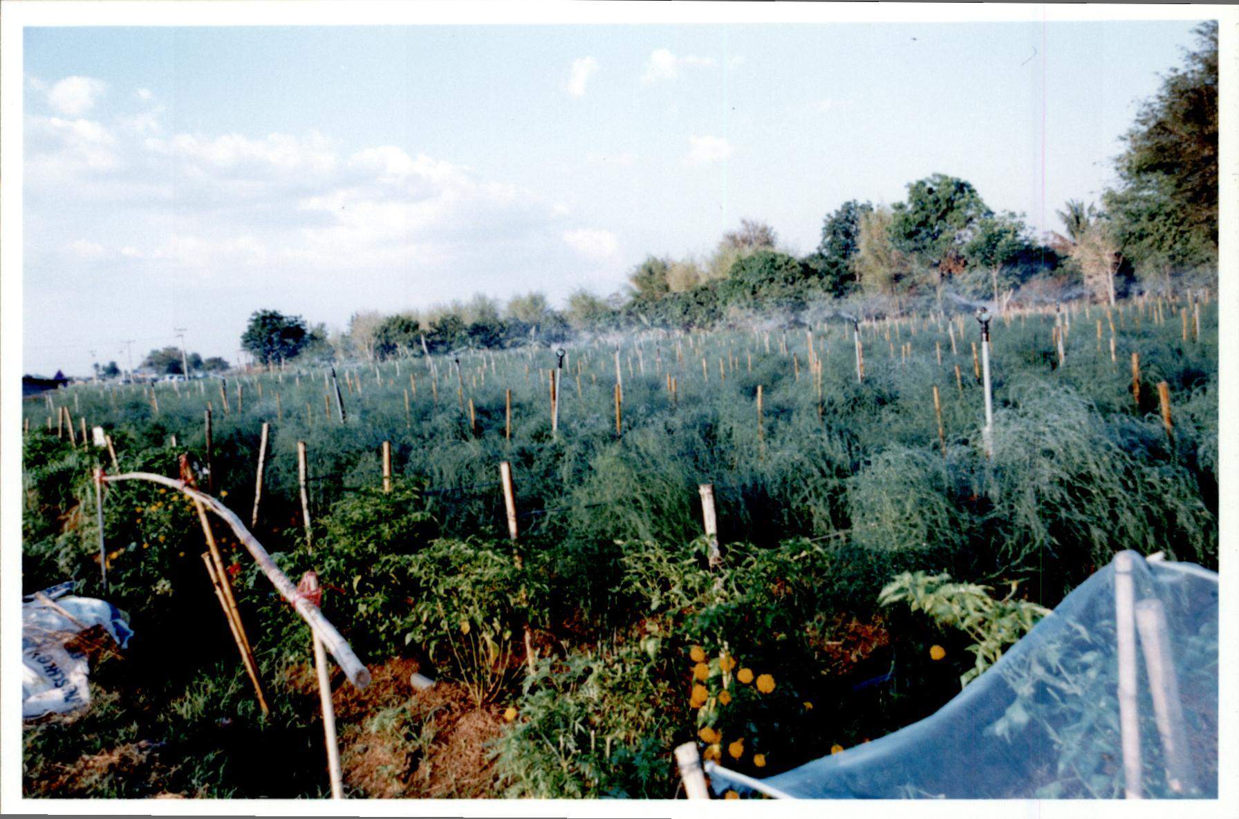 โครงการบ้านมั่นคงชนบท จังหวัดสระแก้ว