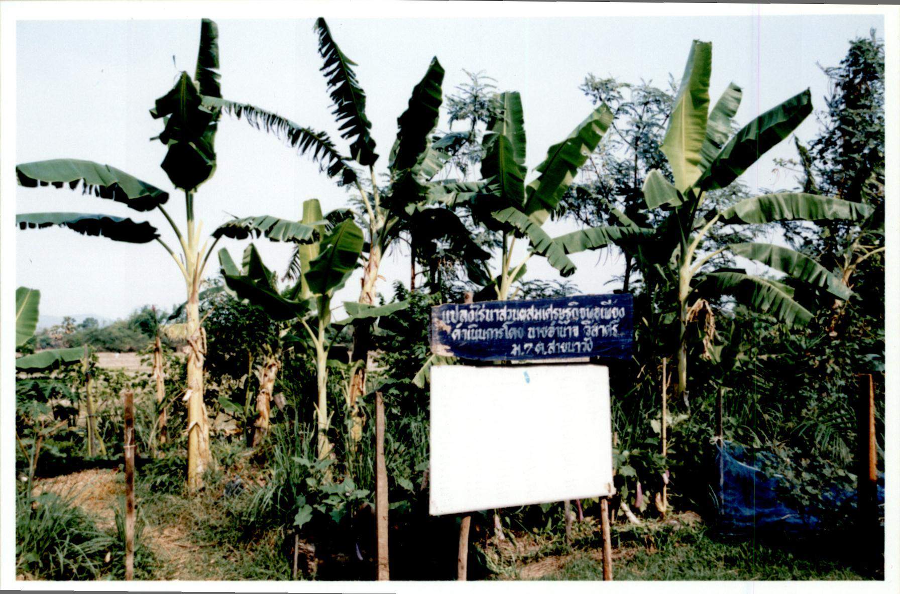 มหกรรมวิถีชีวิตเศรษฐกิจพอเพียงตำบลสายนาวัง จ.กาฬสินธุ์